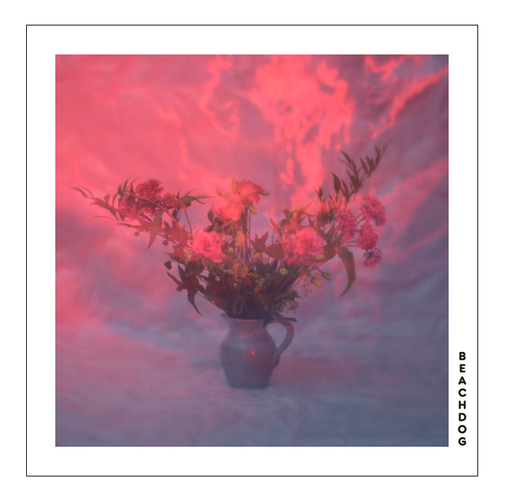 Beachdog kondigt debuut album aan met release van eerste single ‘Dog’