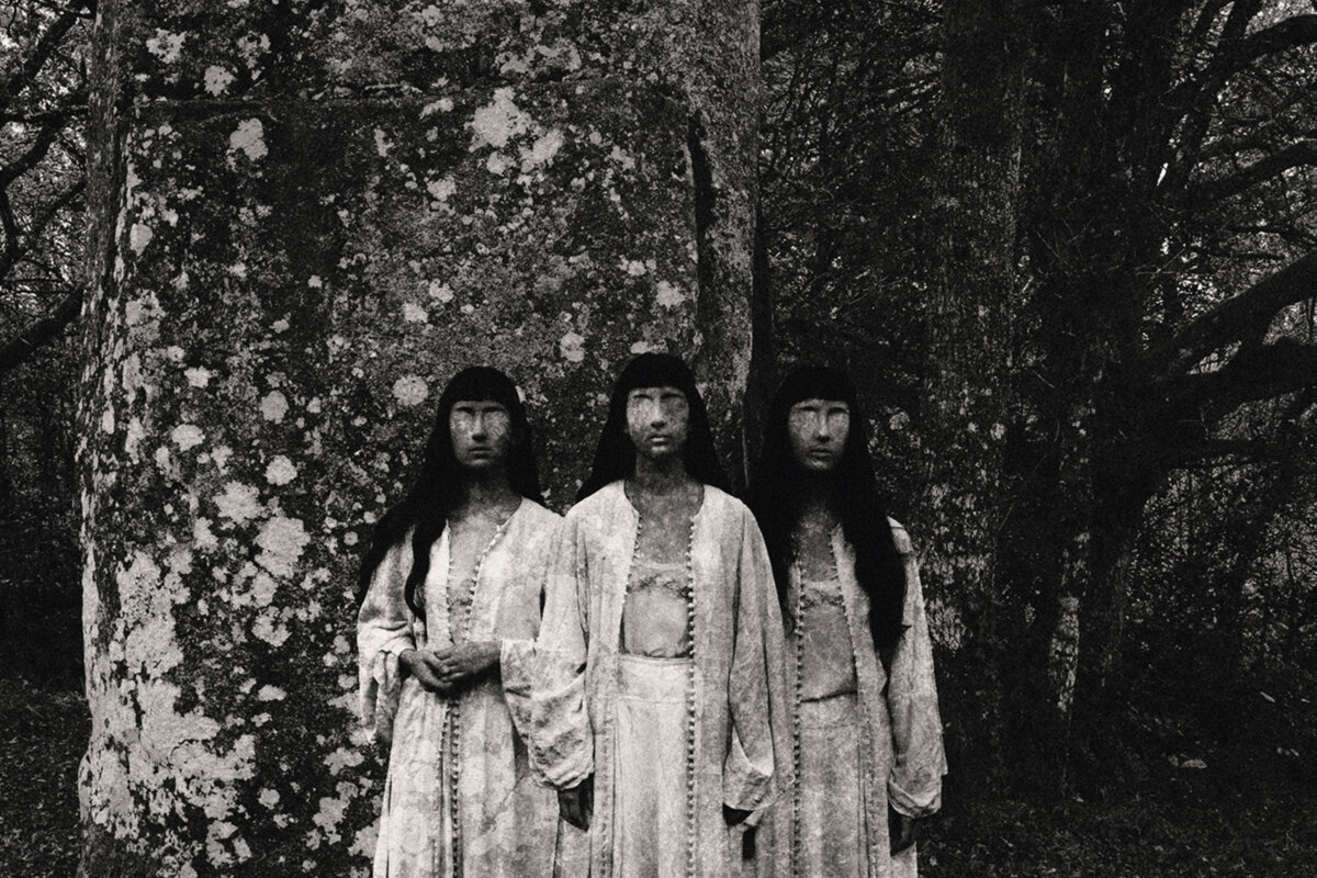 Greyborn watch new video "Leeches"