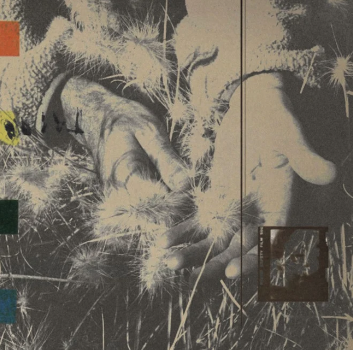 Nick Mulvey returns with new single Star Nation and announces third album New Mythology,