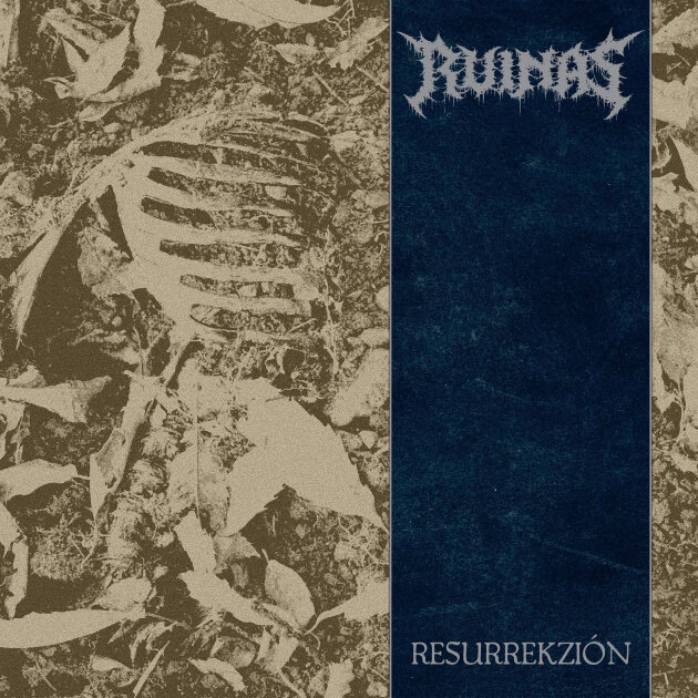 Spanish Deathgrind unit Ruinas share brand new single from upcoming EP!