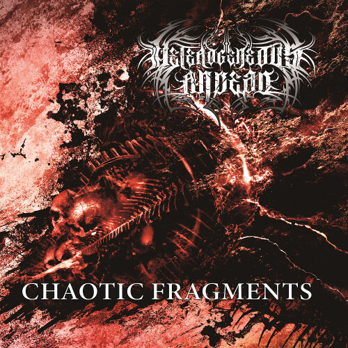 Japanese Symphonic Death Metallers Heterogeneous Andead  Announce New Album "Chaotic Fragments"
