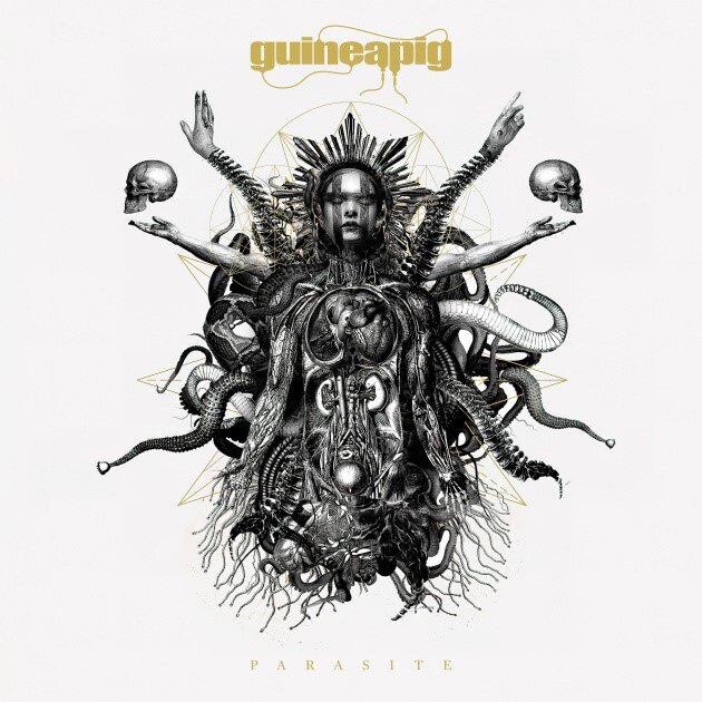 Guineapig : New video and pre-order!