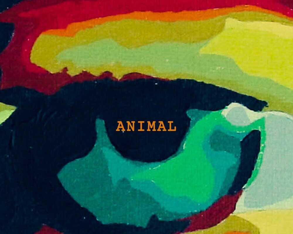 Gareth Dunlop: 'Animal' - title song of forthcoming new album out now as a single / album out 22.04.22