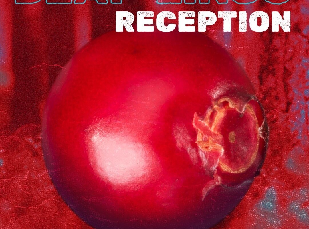 Italian Pool Party Punk with Deaf Lingo - New single ”Reception” out now