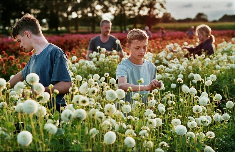 Close van Lukas Dhont naar Cannes