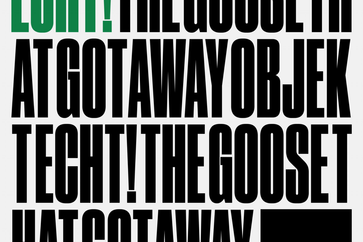 Echt: The Goose That Away out now