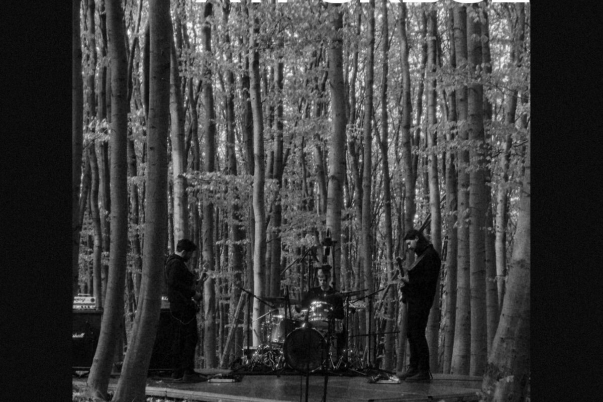 Torzs - 'Átfordul' |  Enchanting Post-Rock From The Depth Of The Forest 