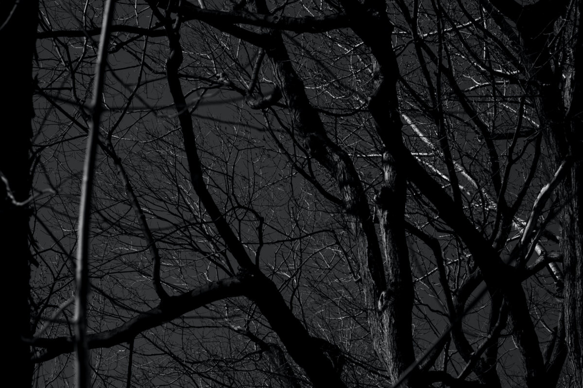 Montreal's The Occult  Are Now Streaming Self-Titled Debut Album