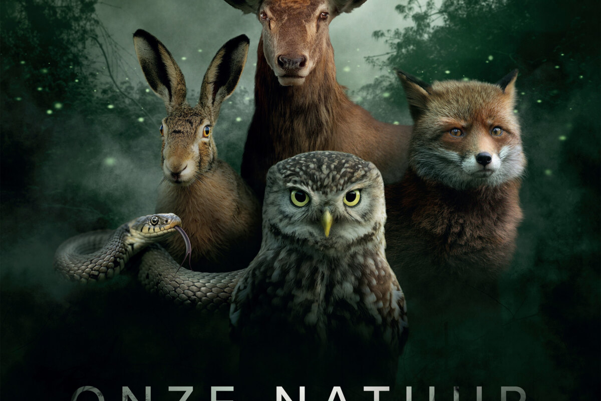 Matteo Simoni gaat David Attenborough achterna als stem van Onze Natuur, De Film