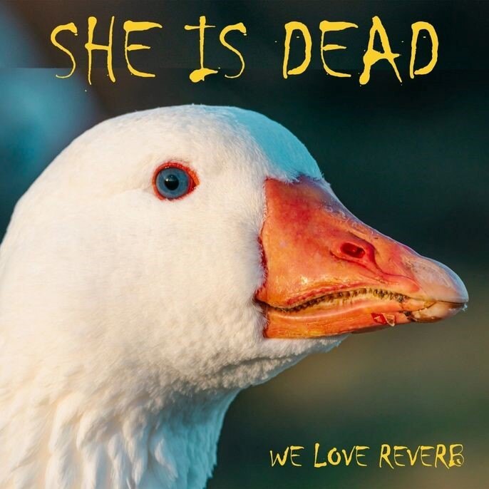 She is dead releases new album "We love reverb"