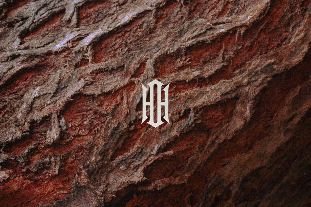 Our Hollow, Our Home releases new single / video!
