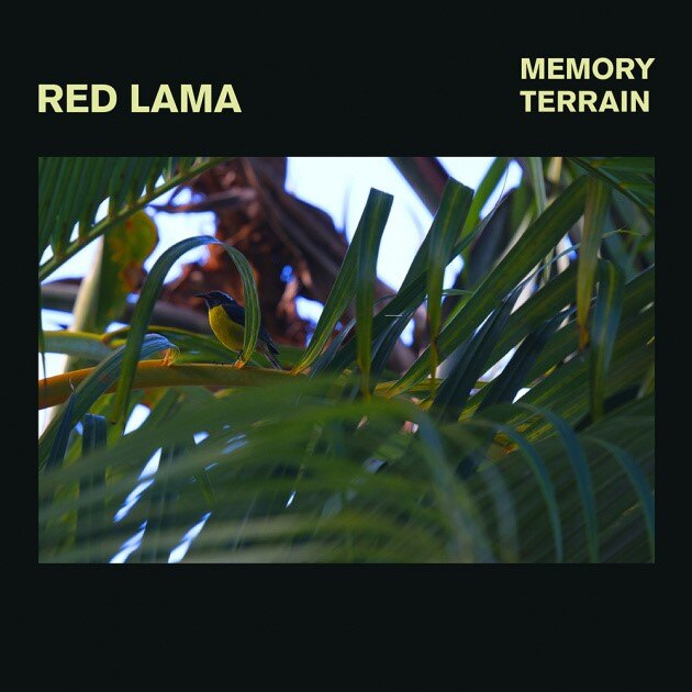 Red Lama releases third single from forthcoming album ‘Memory Terrain’