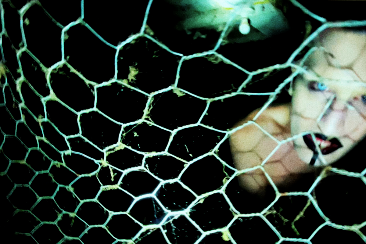 GLDN Drops Controversial New Video for "Animal"