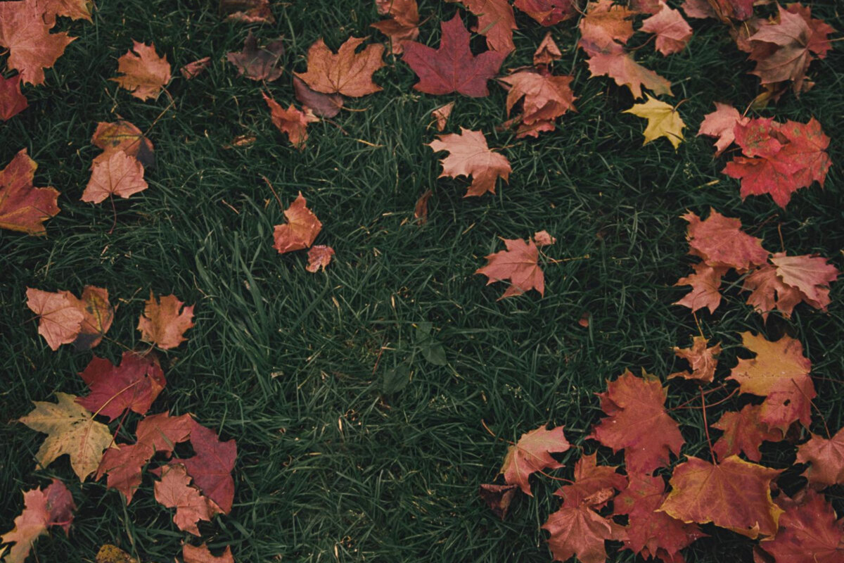 girl in red - "October Passed Me By"