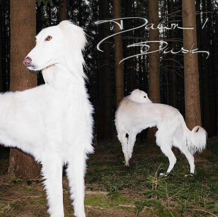 Sam De Nef stelt debuutalbum  Dawn/Dusk voor