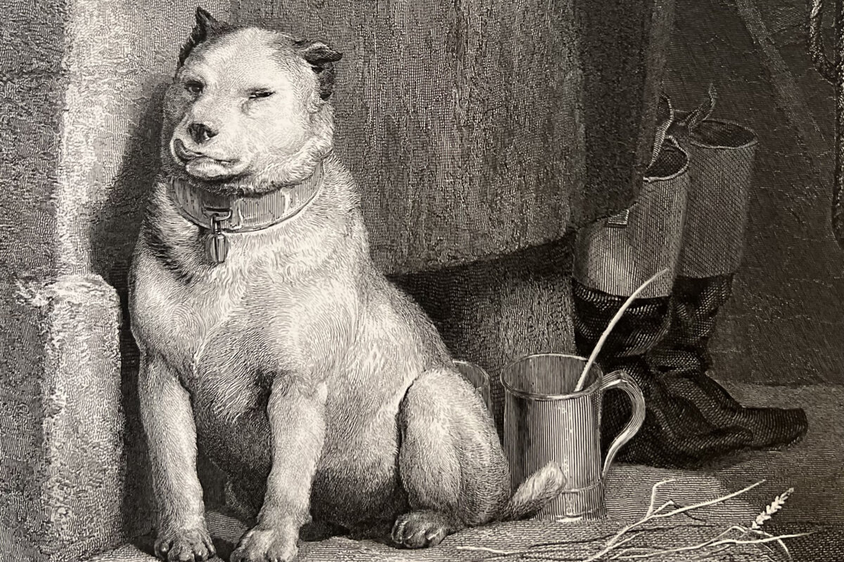 Pavlov's Dog komt naar De Roma