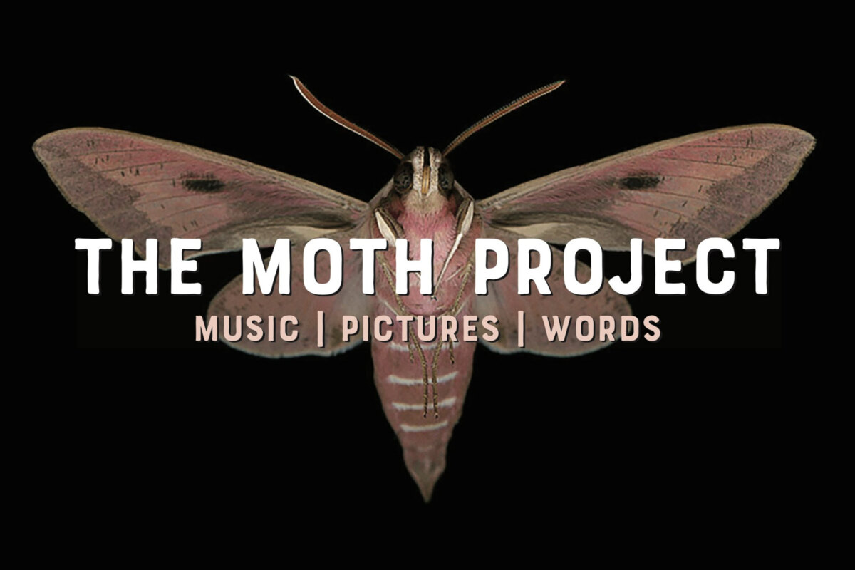 The Moth Project in Toronto and Ottawa - You've NEVER Seen A Concert Like This