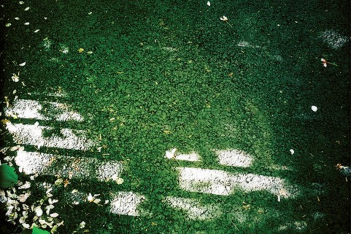 Geographic announces reissues of three seminal titles from their catalogue