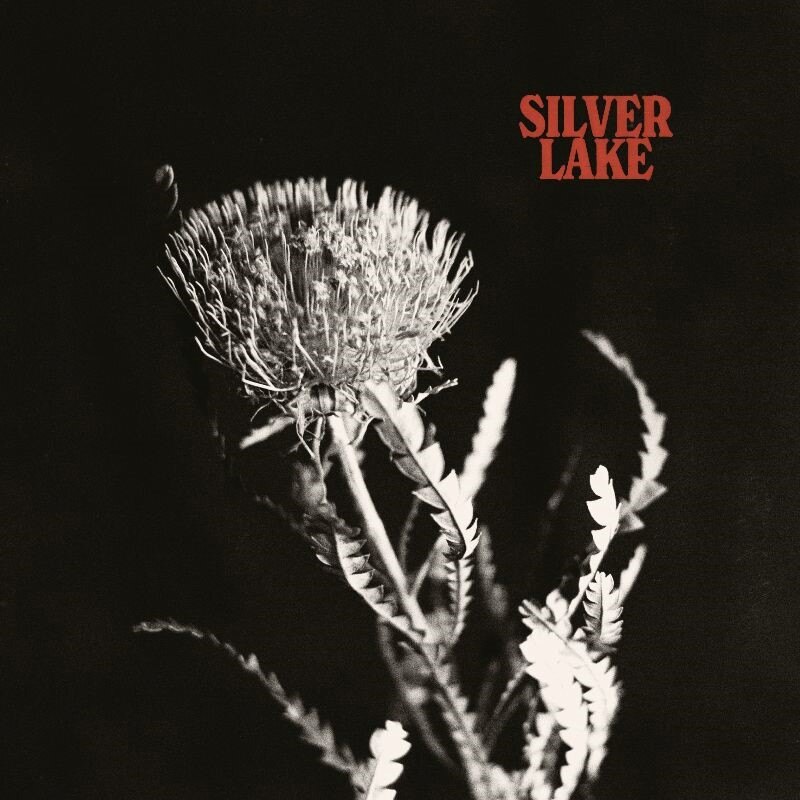 Art-pop duo Silver Lake to release self-titled debut album
