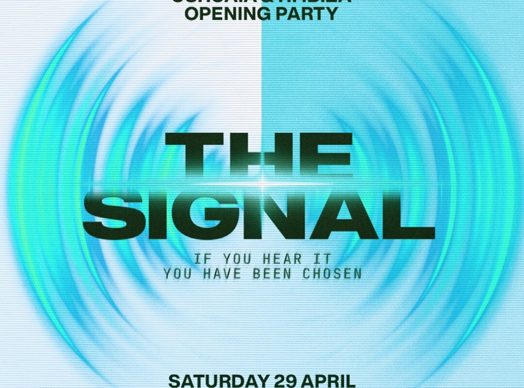 The Signal - Ushuaïa and Hï Ibiza Opening Party 2023