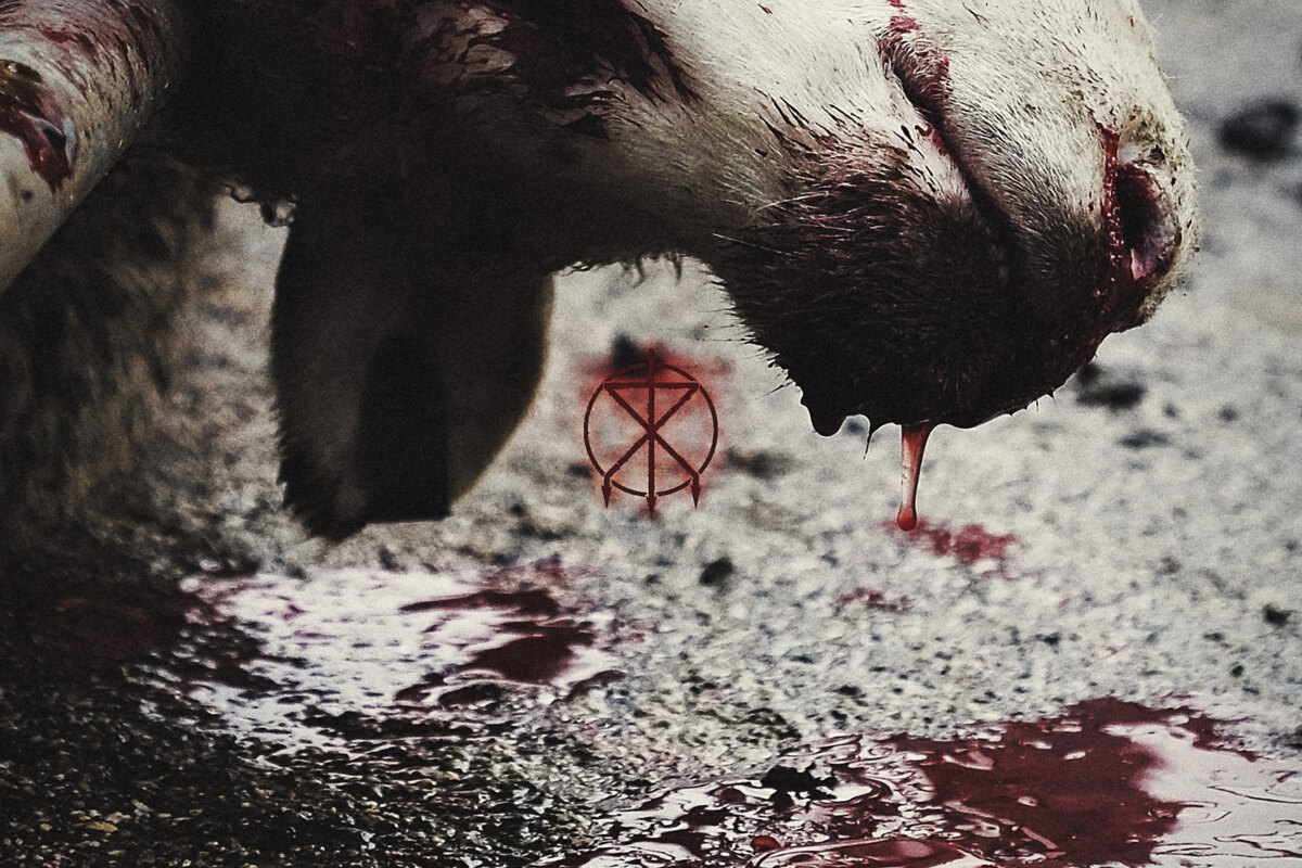 Australian extreme metal vegans To The Grave release monstrous new single/video 'Axe of Kindness' 