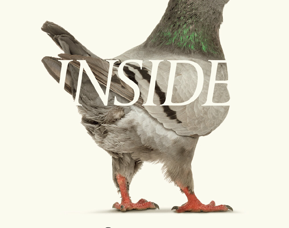 INSIDE - Berlinale 2023, Panorama-sectie!