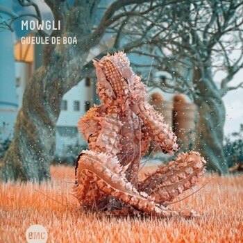 French Experimental Electro Jazz-Rock Trio MOWGLI Releases New Album "Gueule de Boa"