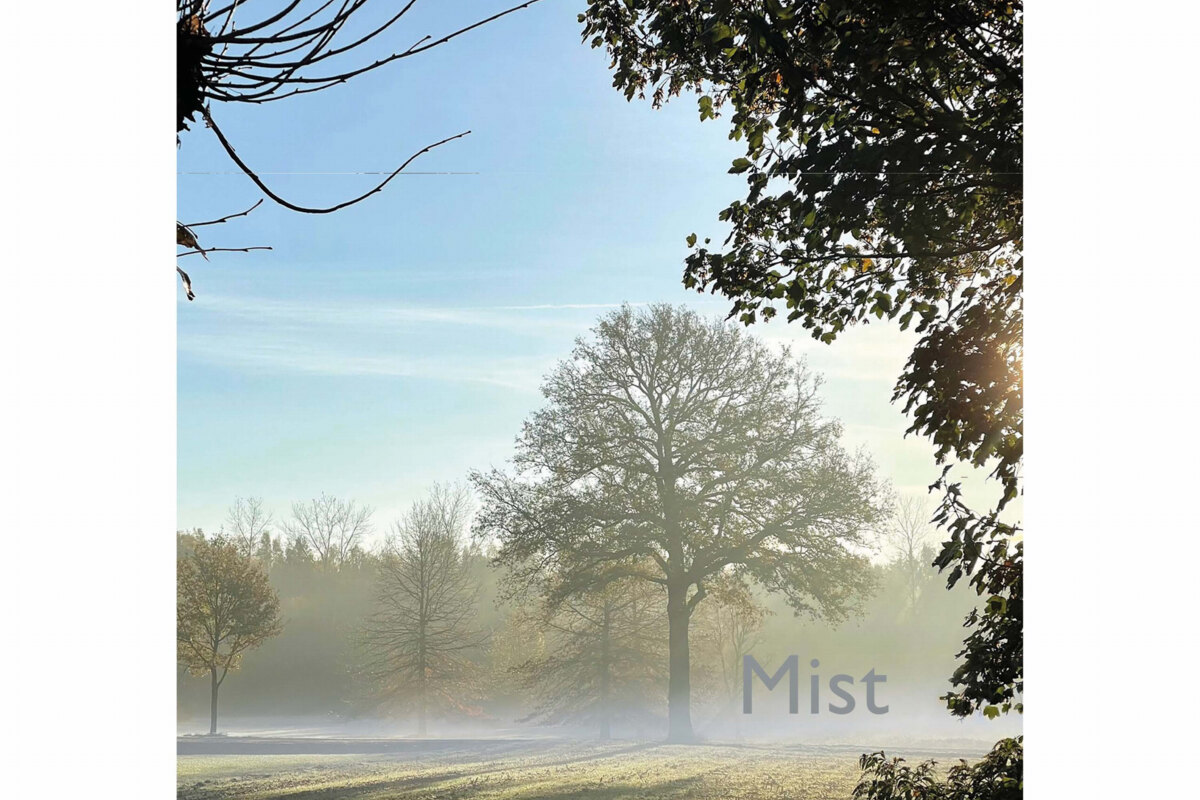Vreemde Kostgangers' laatste album 'Mist'