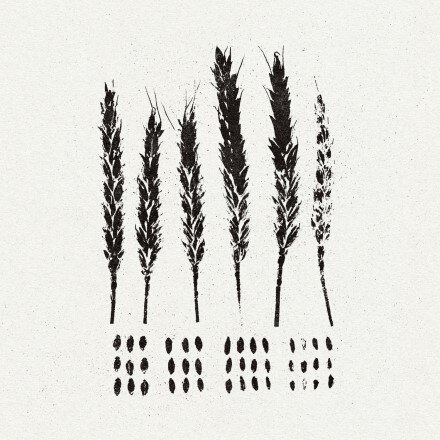 LO! Share New Video for "Salting The Earth" from their new album "The Gleaners"