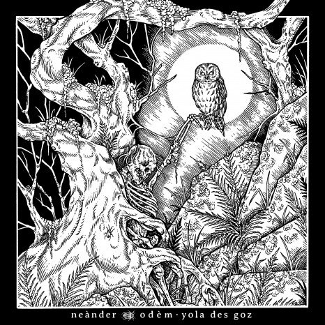 Neànder release new EP "odèm / yola des goz" today, completely unexpected and without prior announcement!