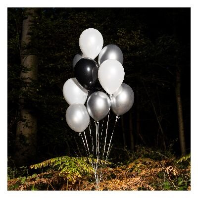 POLTROCK onthult nieuwe single!