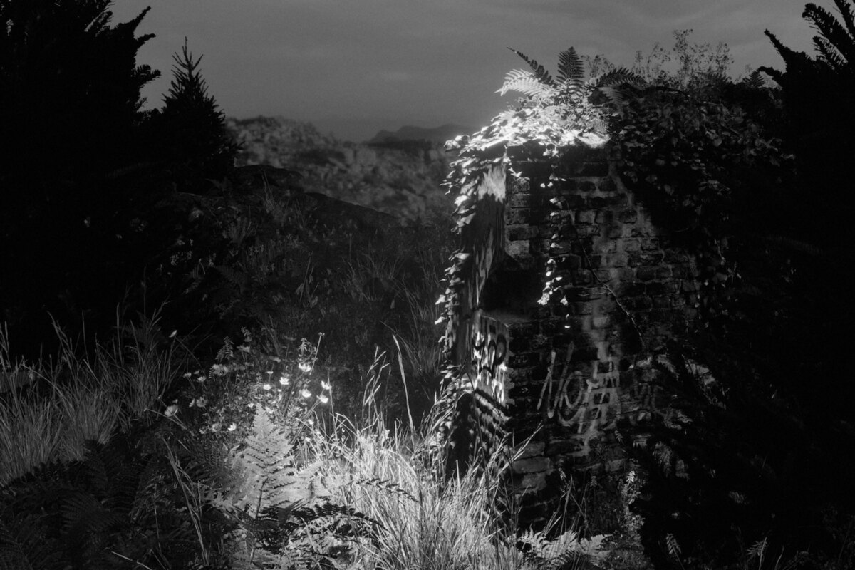 Psycho & Plastic share single 'Fragile Targets