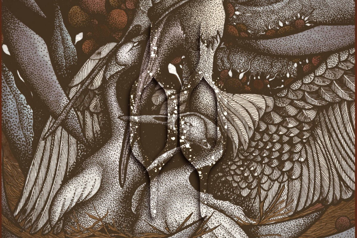 Appalooza releases new single "Pelican"