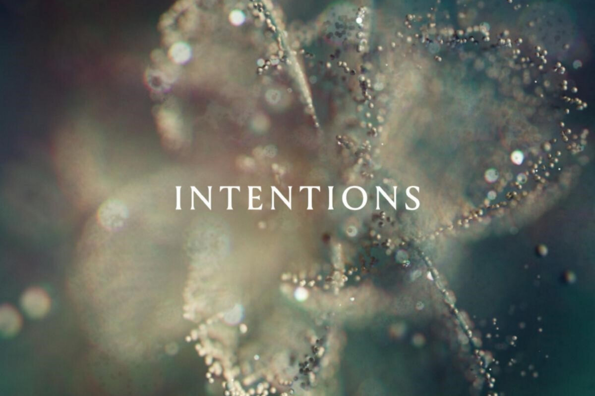 Producer and DJ Anna Makes Mercury KX Debut: Intentions