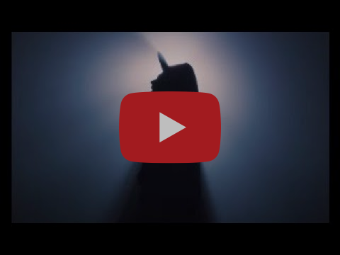 Gustaph viert Pride-maand met een nieuwe video van 'Because Of You'