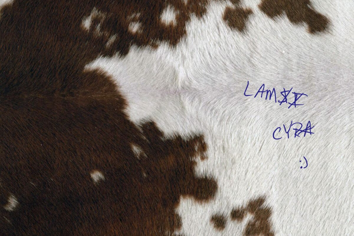 De Belgische Cyra Gwynth brengt vandaag haar nieuwe LAMCY EP ui