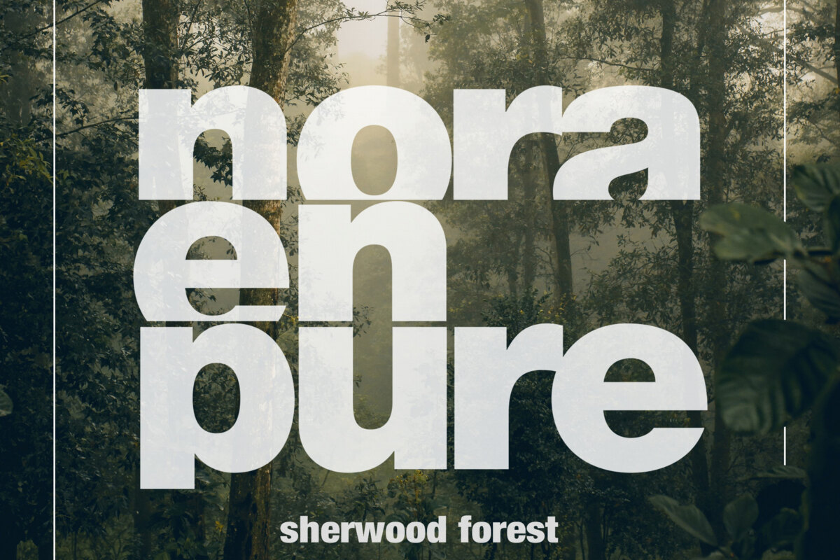 Nora En Pure Delivers Mystical Original 'Sherwood Forest'