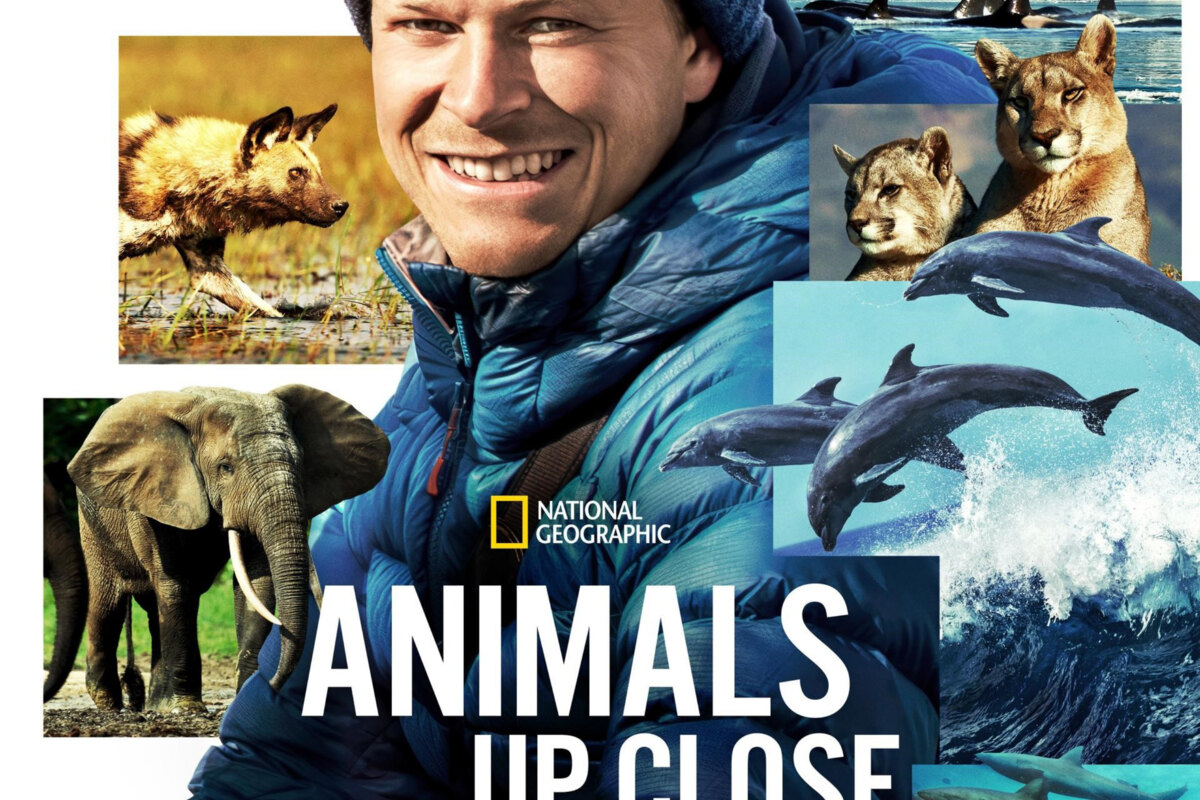 The new National Geographic series "Animals Up Close with Bertie Gregory"coming to Disney+ on September 13