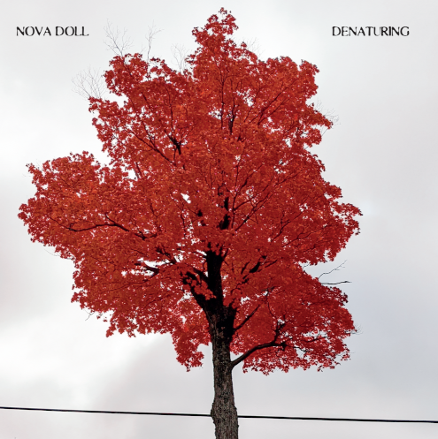 NOVA DOLL Announce New Album And Release Video For "California Sunshine"