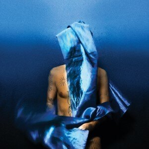 Devendra Banhart releases Flying Wig