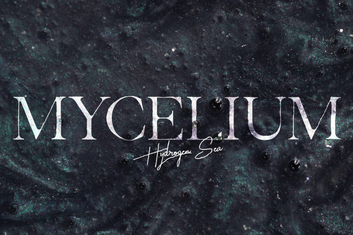 Hydrogen Sea deelt nieuwe track ‘Mycelium’