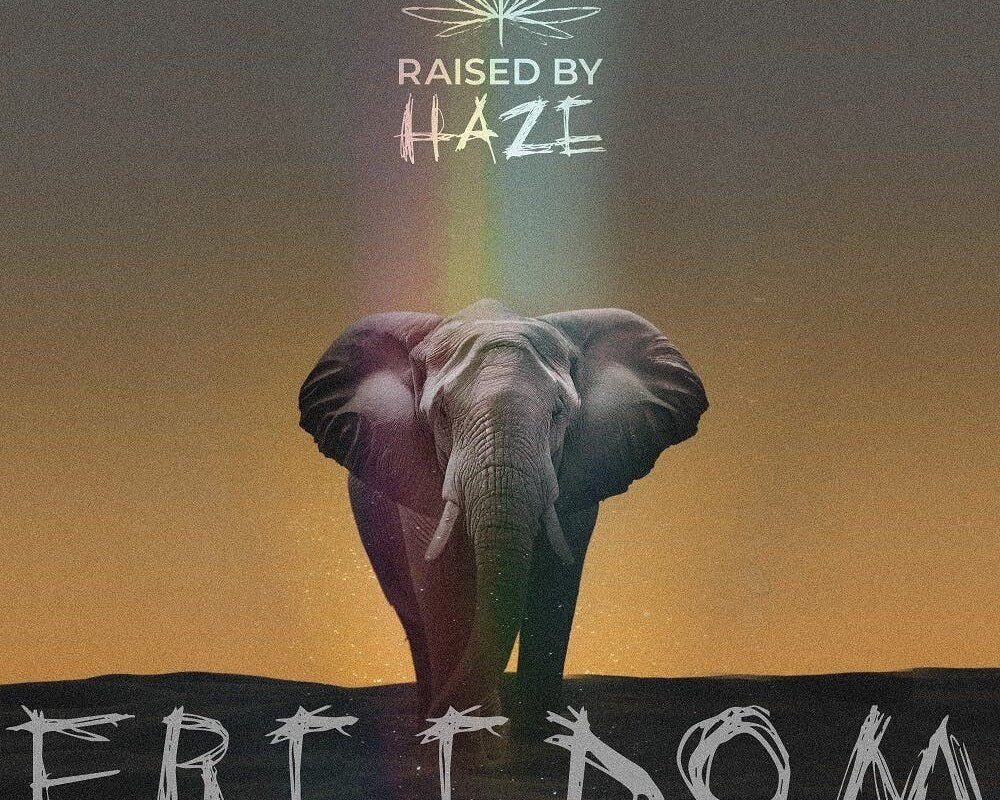 New Video "Freedom" From RAISED BY HAZE Off Debut Album "Touch The Sky" Out Nov 2023