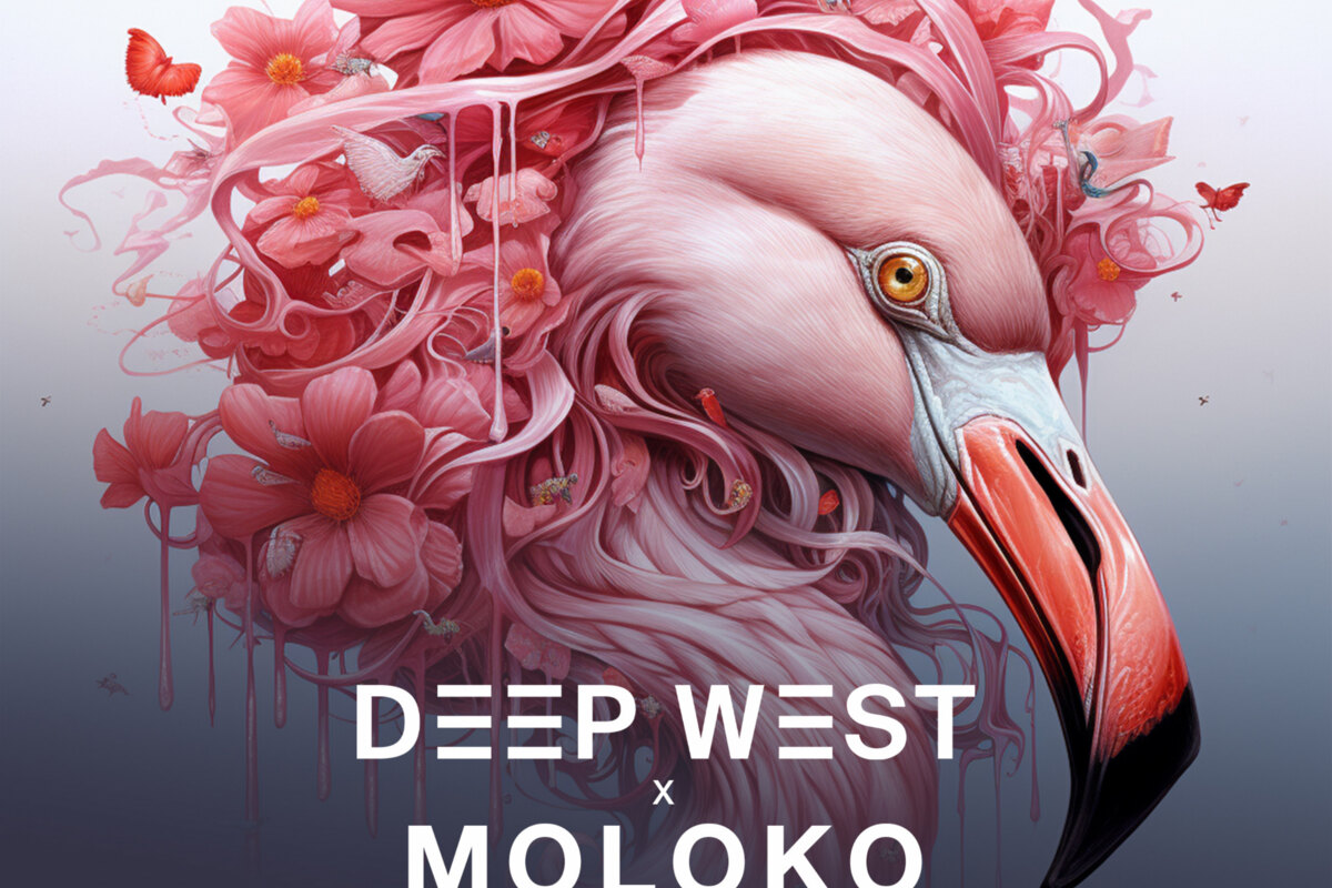 Deep West and Moloko's collab is fueled by unexpected vinyl/needle glitch (out now on Musical Freedom)