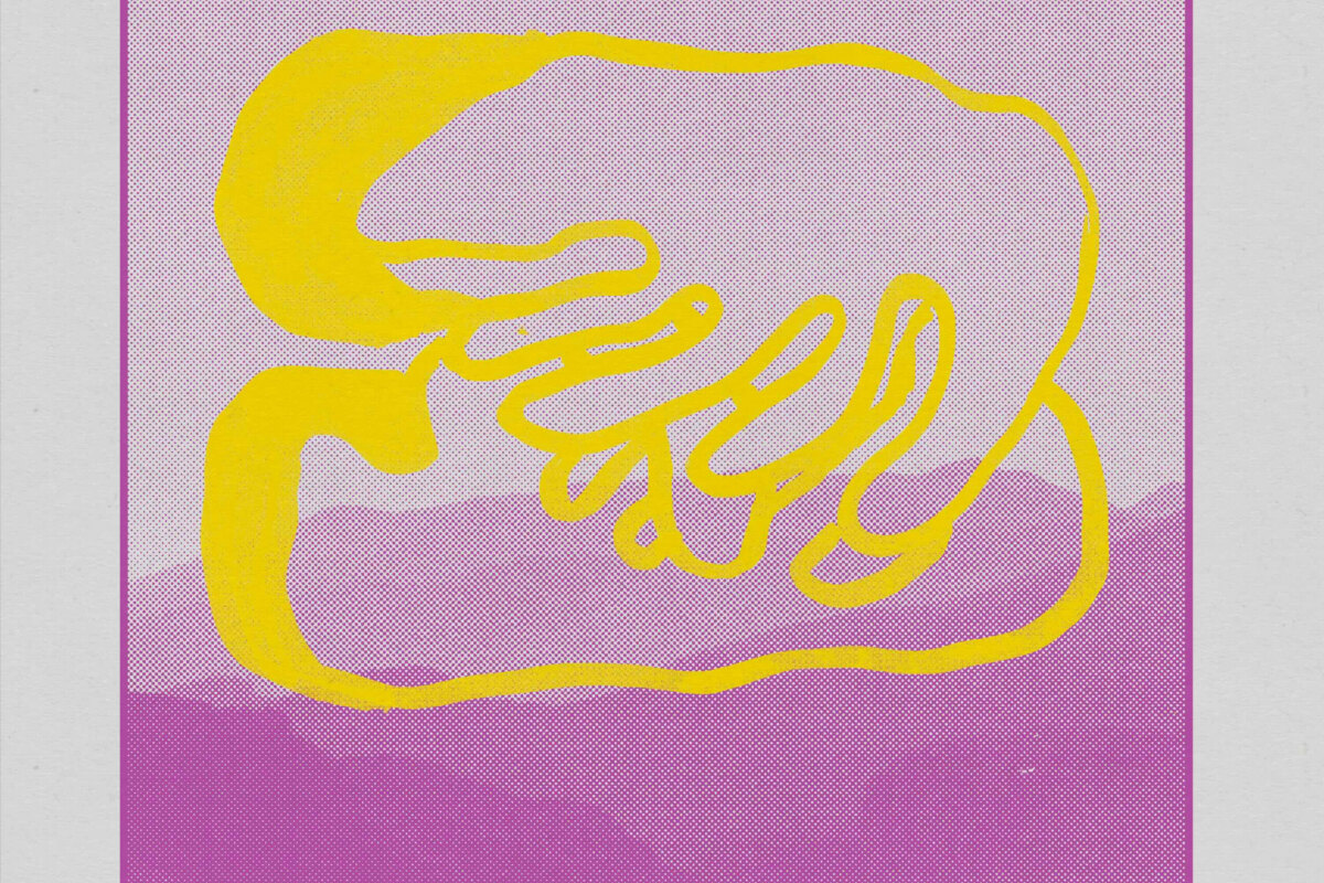 Afar releases The Refuge 