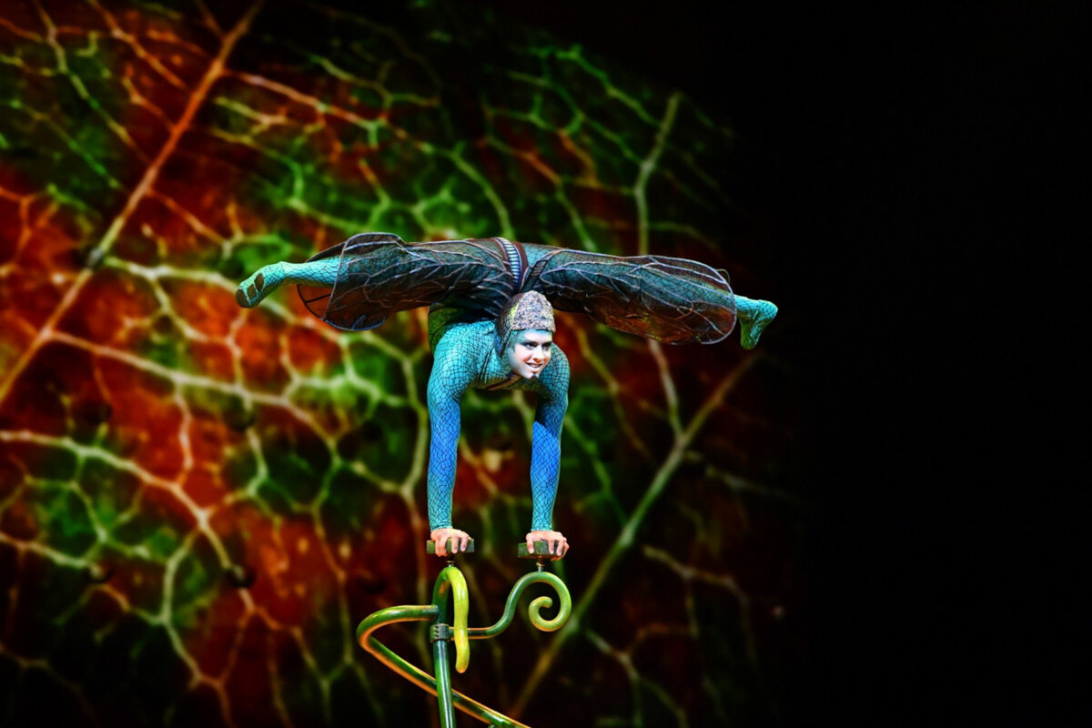 Cirque du Soleil brengt kleurrijke wereld van insecten naar Antwerpen met ‘OVO’