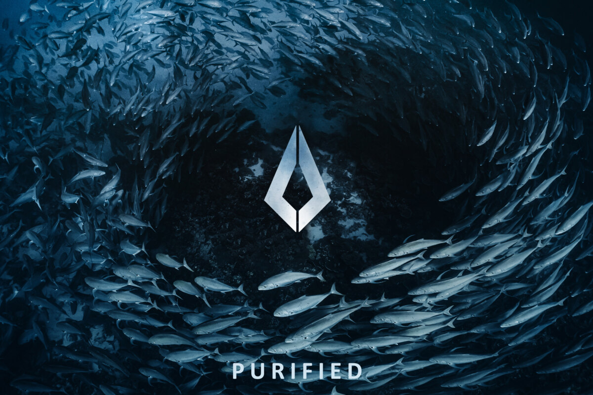Purified Records Reveals Purified Chronicles 23