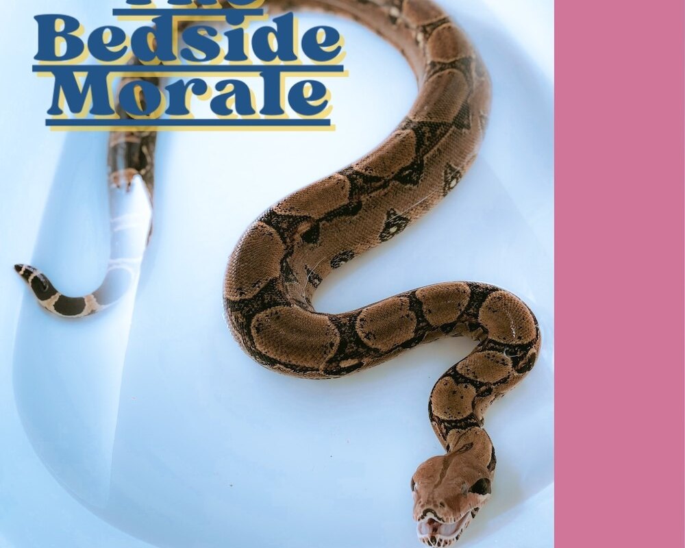 Bristol's indie-rockers The Bedside Morale reveal 80’s-drenched anthem ‘Bitter Things’
