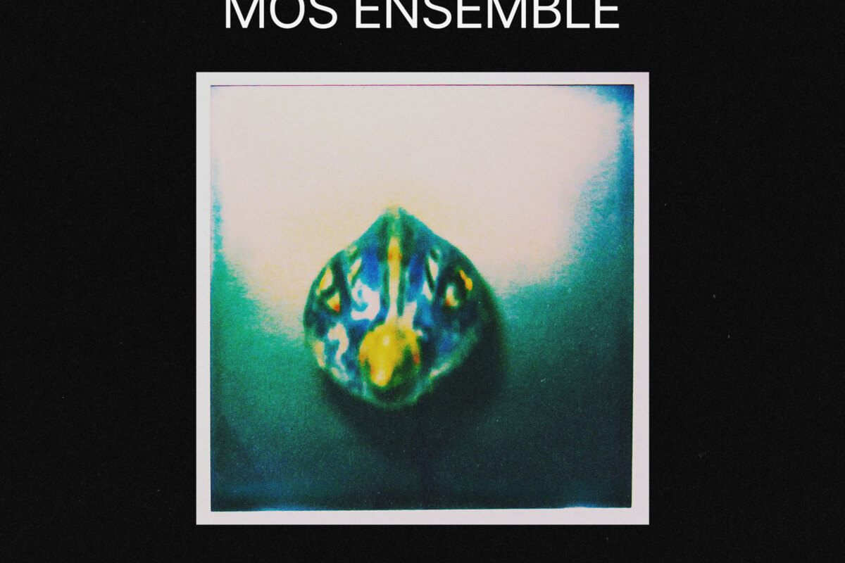 Mòs ensemble geeft met 'Red Turtle' tweede single prijs van nieuwe plaat