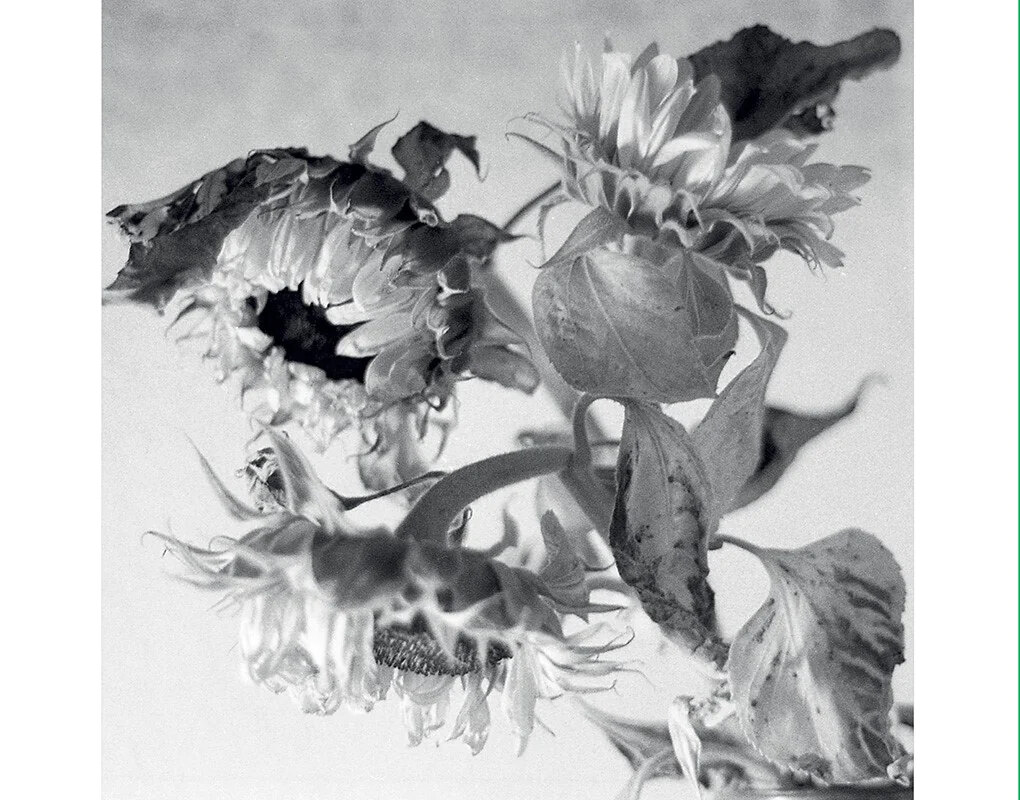 Engelse postpunk iconen And Also The Trees brengen vijftiende soloalbum uit: "Mother-of-pearl Moon"