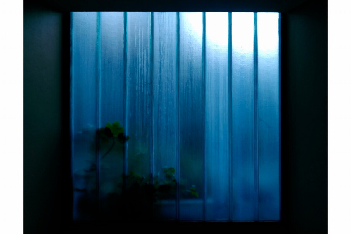 The Day, Belgisch-Duitse dreampop band komt met nieuwe single en album 